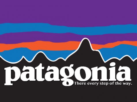 Patagonia seeks to educate electorate on environmental issues