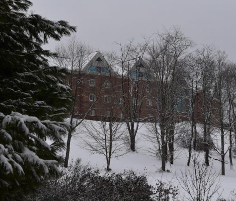 SFU students share their Christmas favorites