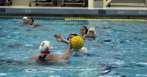 Water polo team to visit Michigan, California over Spring Break