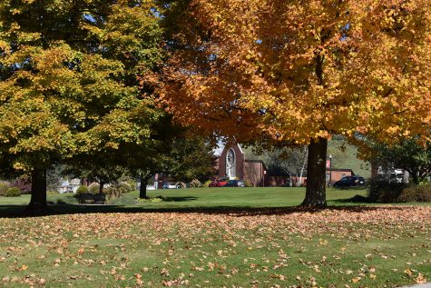 Fall Ranked Fourth Favorite Season by Students in Survey