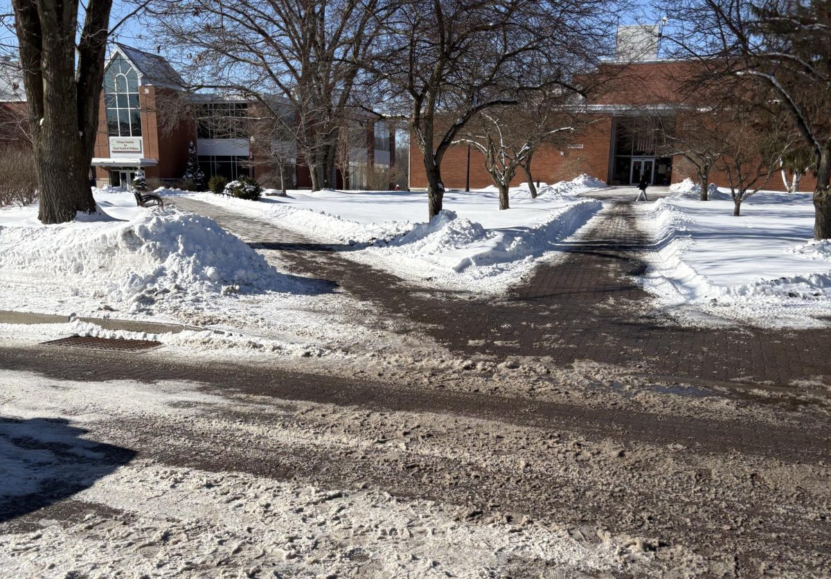 Mixed Reviews on Snow Removal Efforts, Treatment of Roads, Sidewalks