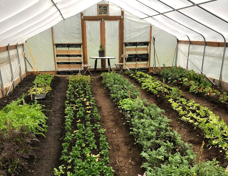 Sustainability the goal at Hoop House Garden