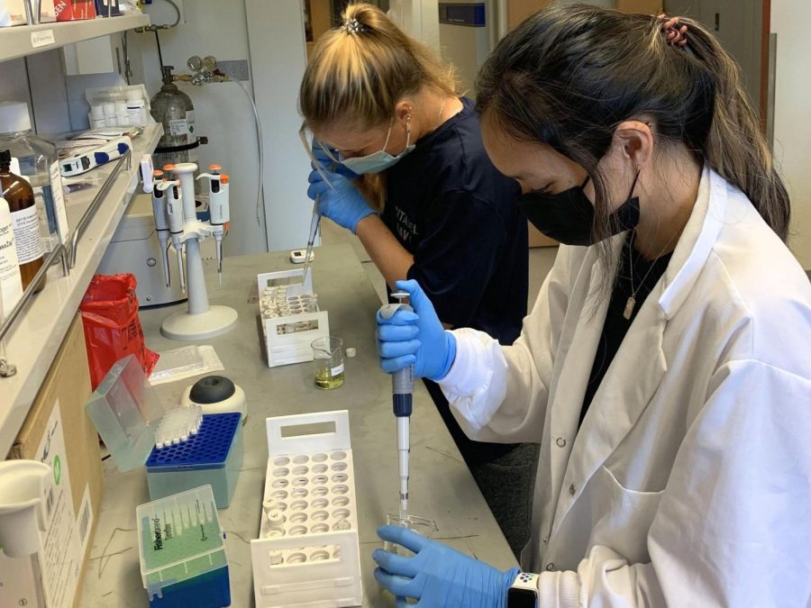 SFU Students Collaborate with Penn State Students to Create Research Opportunities