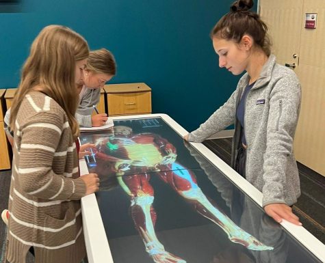 Virtual Anatomy Lab Provides Students Array of Opportunities