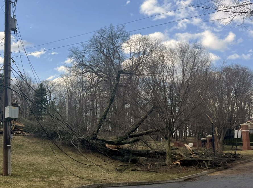 Severe Storm, Fallen Tree Knocks Out Electricity to Campus