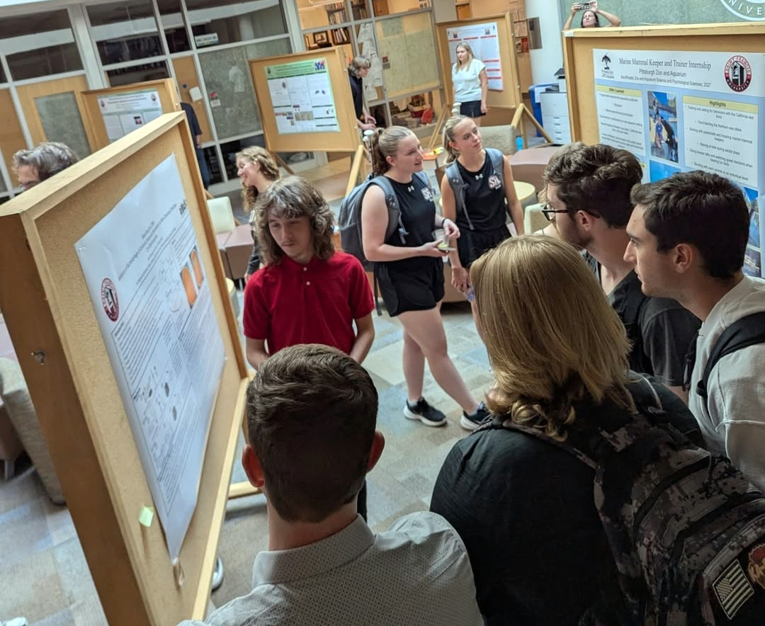 Students Share Research Interests, Findings at Research Day